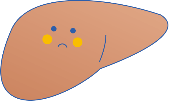 メタボ脂肪肝
